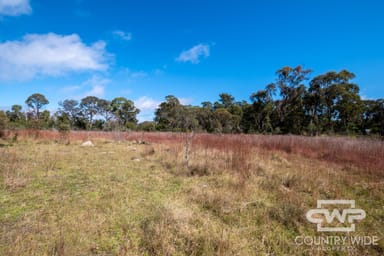 Property 11, 2530 Torrington Road, TORRINGTON NSW 2371 IMAGE 0