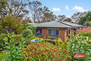 Property 5 Lord Lynedoch Street, Lyndoch SA 5351 IMAGE 0