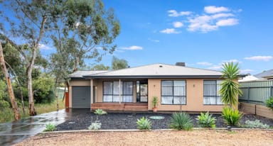 Property 16 Klauber Street, Lyndoch SA 5351 IMAGE 0