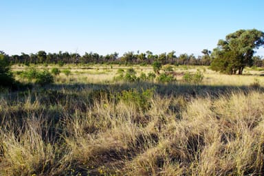 Property 516 Jacks Creek Road, NARRABRI NSW 2390 IMAGE 0