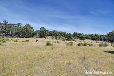 Property Lot 1 Bresnehans Road, Little Swanport TAS 7190 IMAGE 0