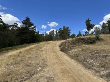 Property 1, Voss Road, HUONVILLE TAS 7109 IMAGE 0