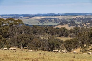 Property 1169 Golspie Road, Taralga NSW 2580 IMAGE 0