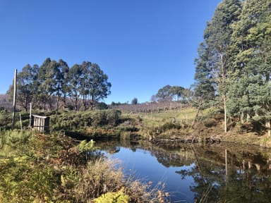 Property 304 Dickensons Creek Road, GLEN HUON TAS 7109 IMAGE 0