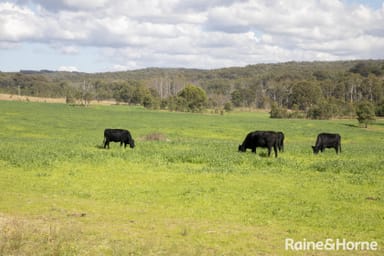 Property Lot 2, 2060 Brayton Road, BIG HILL NSW 2579 IMAGE 0