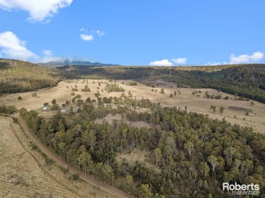 Property 289 New Country Marsh Road, Levendale TAS 7120 IMAGE 0