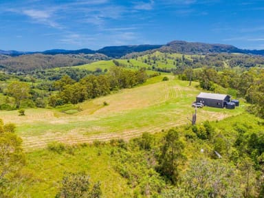 Property Lot B / 1233 Jiggi Road, GEORGICA NSW 2480 IMAGE 0
