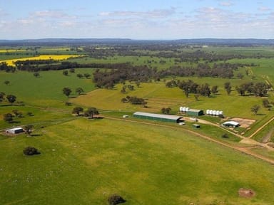 Property 449 Willawang Road, Warroo NSW 2871 IMAGE 0