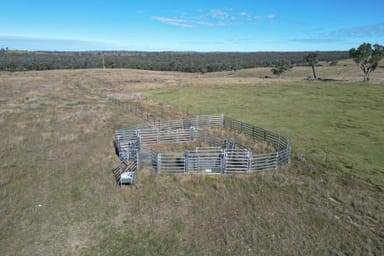 Property 0 Emmaville Road, Ashford NSW 2361 IMAGE 0
