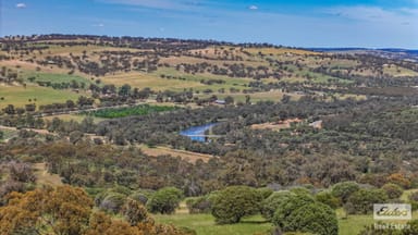 Property 131 Nockdominie Road, Dumbarton WA 6566 IMAGE 0