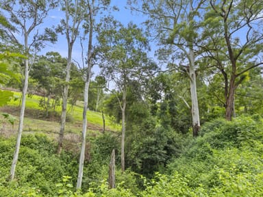 Property 2917 Maleny Kenilworth Road, Cambroon QLD 4552 IMAGE 0