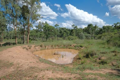 Property 1380 Elsmore Road, Inverell NSW 2360 IMAGE 0