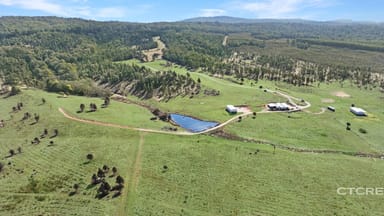 Property 1458 Bendoc-Orbost Road, Bendoc VIC 3888 IMAGE 0