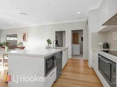 Property 20 Western Road, Medowie NSW 2318 IMAGE 0