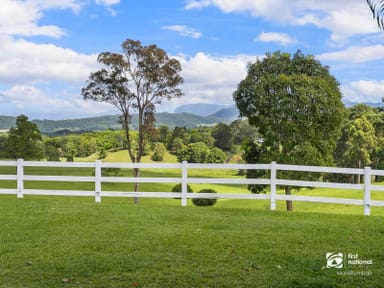 Property 1283 Urliup Road, Dulguigan NSW 2484 IMAGE 0