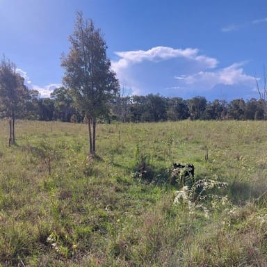 Property 1, Nellers Road, NEW MOONTA QLD 4671 IMAGE 0