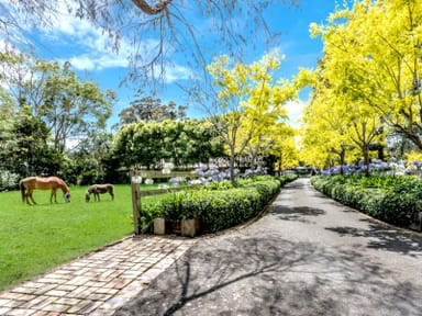 Property 16a Chiltern Road, Ingleside NSW 2101 IMAGE 0