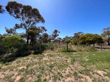 Property Lot 25 Collins Street, TURRIFF VIC 3488 IMAGE 0