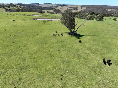 Property 3264 Middle Arm Road Roslyn, CROOKWELL NSW 2583 IMAGE 0