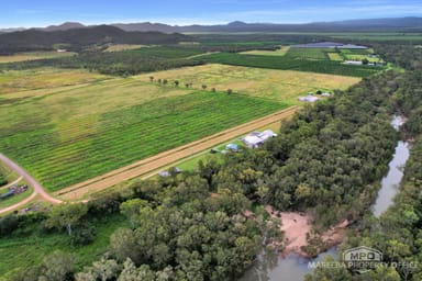 Property 237 Chisari Road, MUTCHILBA QLD 4872 IMAGE 0