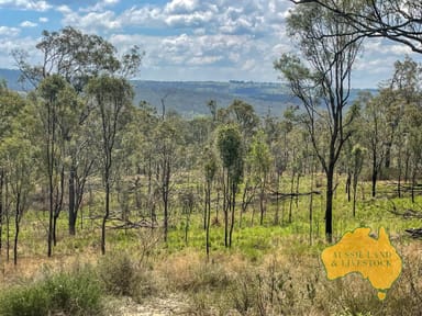 Property 345, Cooyar - Mt Binga Rd, COOYAR QLD 4402 IMAGE 0