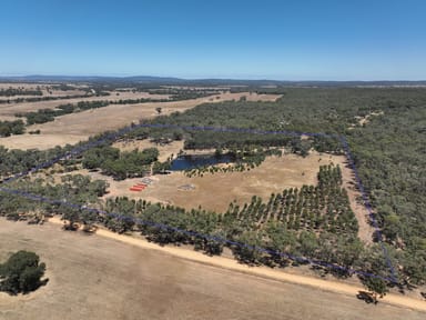 Property Lot 1 Carapooee Road, St Arnaud East VIC 3477 IMAGE 0