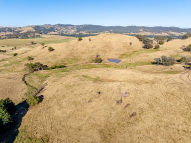Property 2268 Westbrook Road, Oberne Creek NSW 2650 IMAGE 0