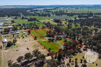 Property 3, 21 Milne Road, THE ROCK NSW 2655 IMAGE 0