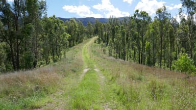 Property Lot 25 Rocky River Road, Rocky River NSW 2372 IMAGE 0