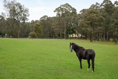 Property 200 Waterfall Creek Road, The Oaks NSW 2570 IMAGE 0