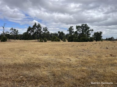 Property 204 Cullalla Road, Mooliabeenee WA 6504 IMAGE 0