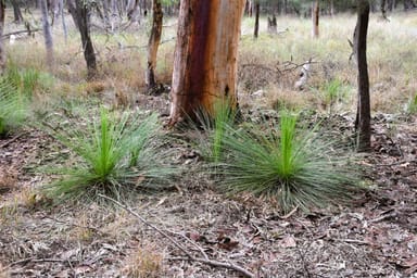 Property Lot 67, 0 Stonehenge Road, Leyburn QLD 4365 IMAGE 0