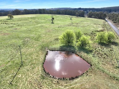 Property 60 Bucky Springs Road, BOMBALA NSW 2632 IMAGE 0