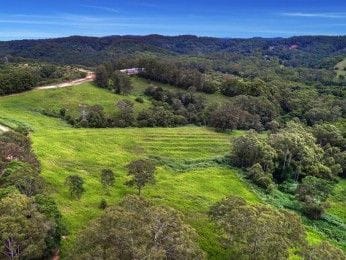 Property 136 Top Forestry Road, Ridgewood QLD 4563 IMAGE 0