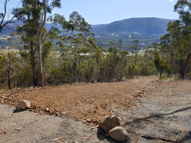 Property Lot 13 Bull Oak Way, GROVE TAS 7109 IMAGE 0