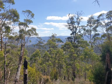 Property Lot 1 Halls Track Road, PELVERATA TAS 7150 IMAGE 0