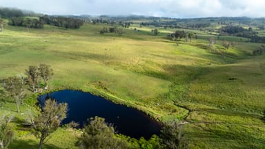 Property 3511 Pinkett Road, PINKETT NSW 2370 IMAGE 0