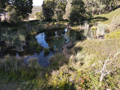 Property Lot 1, Huon Highway, FRANKLIN TAS 7113 IMAGE 0