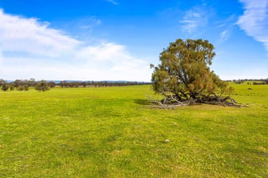 Property 140 Pearce Road, Campbells Bridge VIC 3387 IMAGE 0