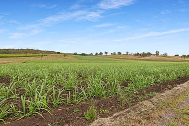 Property 40 Mandersons Road, McIlwraith QLD 4671 IMAGE 0