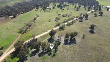 Property Lot 1 Roseholm Road, PEAK HILL NSW 2869 IMAGE 0