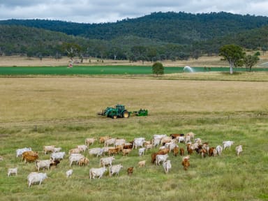 Property 'Turner Downs' 502 Oakfield Road, Tansey QLD 4601 IMAGE 0