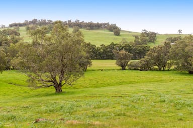 Property Lot 107 Valley View, Chittering WA 6084 IMAGE 0