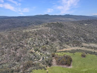 Property Lot 89, 77, 6 Tombong Road, TOMBONG NSW 2633 IMAGE 0