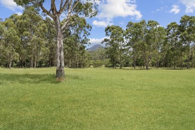 Property 186 Mount Barney Road, Barney View QLD 4287 IMAGE 0