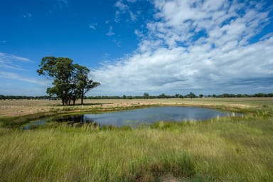 Property 96 Stubbo Road, Gulgong NSW 2852 IMAGE 0