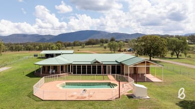 Property 2487 Jerrys Plains Road, Singleton NSW 2330 IMAGE 0