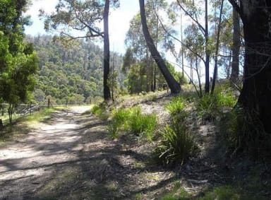 Property Lot 2 Nicklasons Road, PYENGANA TAS 7216 IMAGE 0