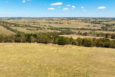 Property 'Treline' 174 Emu Swamp Road, Lucknow via, Orange NSW 2800 IMAGE 0