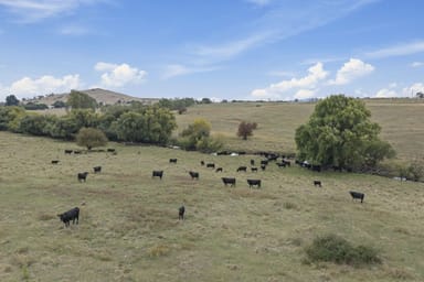 Property Lot 15 & 16 Barton Highway, Murrumbateman NSW 2582 IMAGE 0